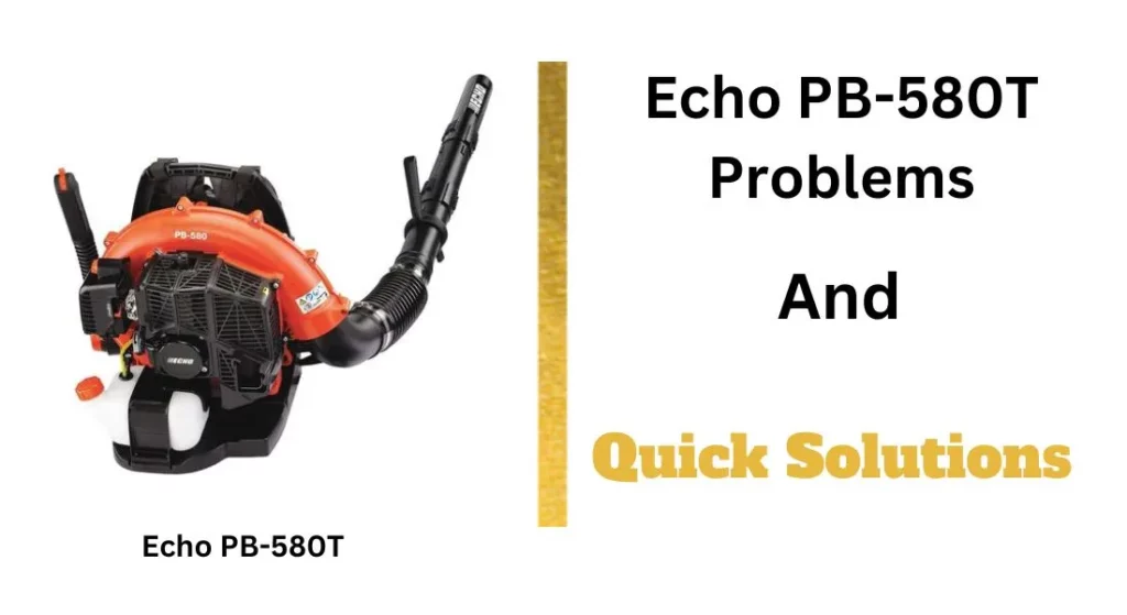 5 Most Typical Echo PB-580T Problems