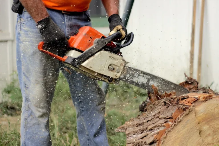 5 Reasons Why Your Poulan Chainsaw Won’t Start and How to Fix It