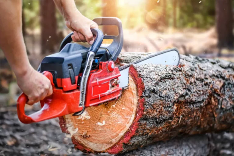 Reason Your Craftsman Chainsaw Won’t Start and How to Fix