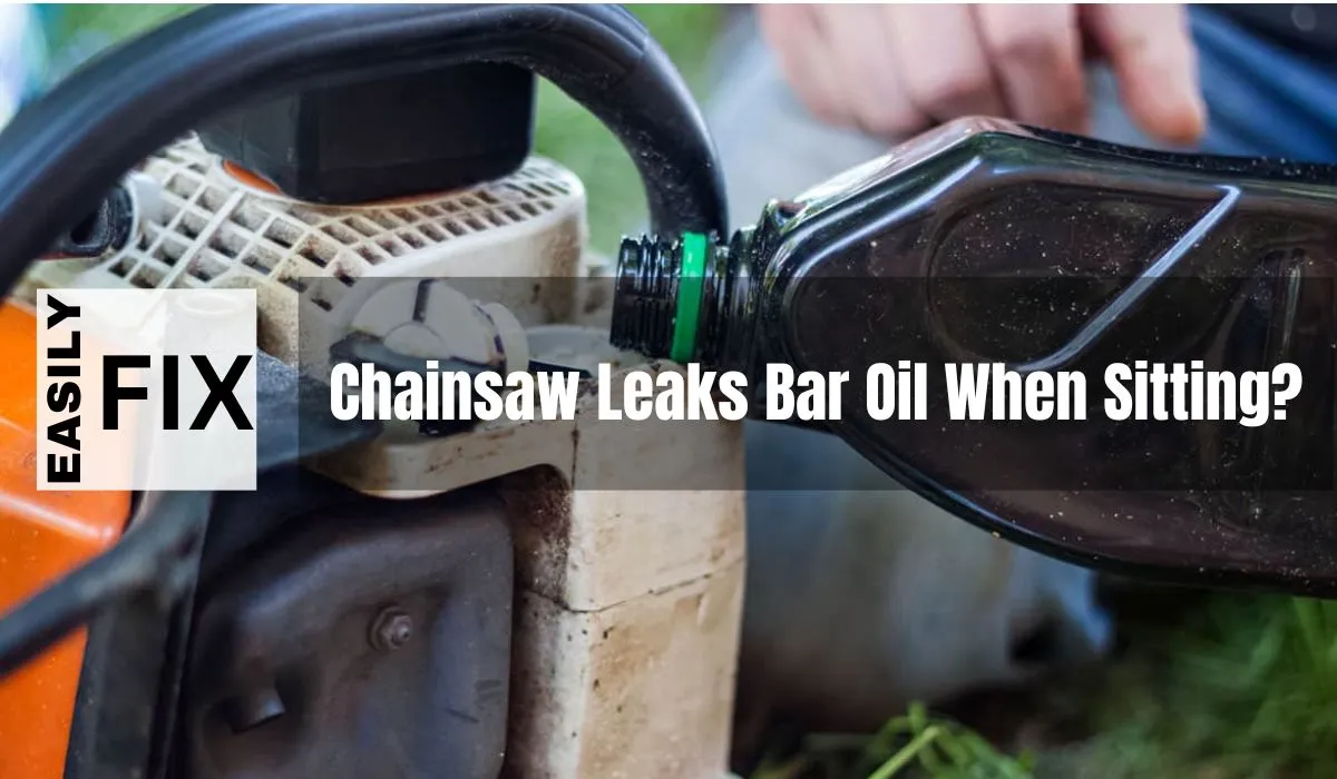Chainsaw Leaks Bar Oil When Sitting