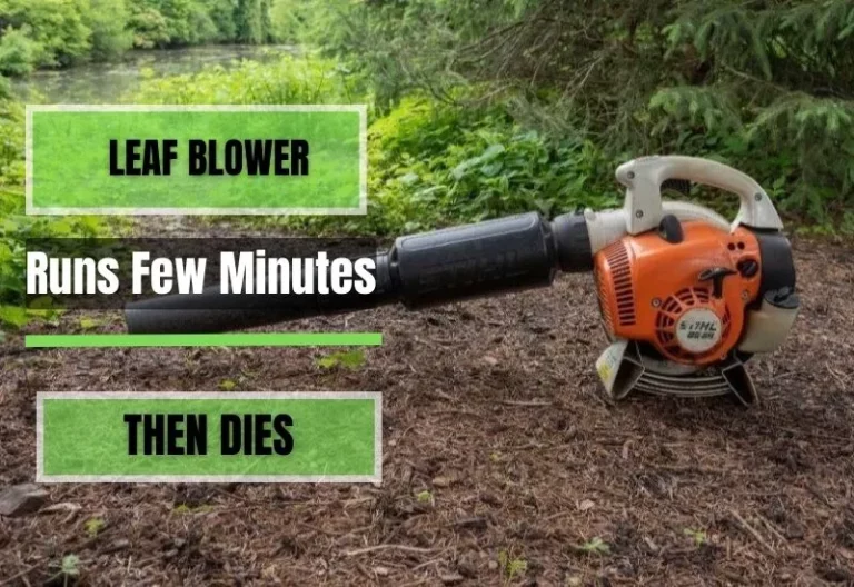 Leaf Blower Runs for a Few Minutes then Dies (Causes & Fixes)