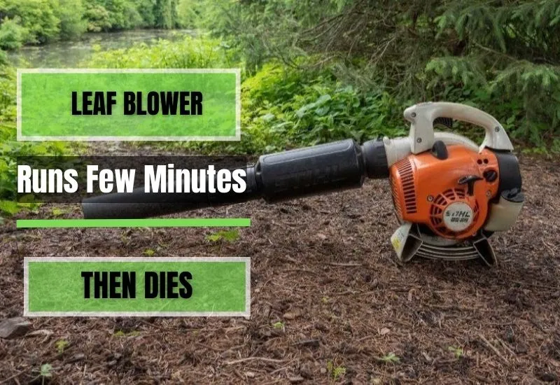 Leaf Blower Runs for a Few Minutes then Dies