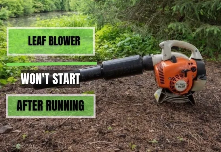 Leaf Blower Won’t Start After Running (6 Reasons and Solutions)